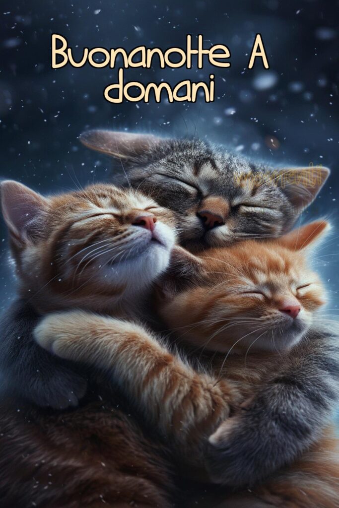 Abbraccio Buonanotte a Domani Immagini