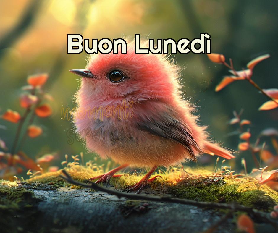 Immagini Buon Lunedi